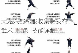 天龙八部私服收集版发布：_武术_特色_技能详解