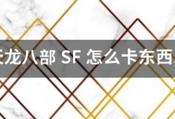 天龙八部私服 SF 怎么卡工具