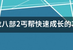 天龙八部sf丐帮快速成长的攻略（天龙八部丐帮进阶技能有哪些）