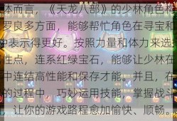 总体而言，《天龙八部》的少林角色构建包罗良多方面，能够帮忙角色在寻宝和PK中表示得更好。按照力量和体力来选择属性点，连系红绿宝石，能够让少林在战斗中连结高性能和保存才能。并且，在寻宝的过程中，巧妙运用技能，掌握战斗节拍，让你的游戏路程愈加愉快、顺畅。