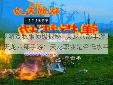 新开天龙游戏私服顶级揭秘 -天龙八部手游天龙职业辣鸡吗,天龙八部手游：天龙职业是否低水平？)