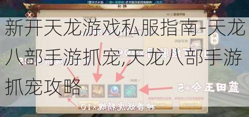 新开天龙游戏私服指南-天龙八部手游抓宠,天龙八部手游抓宠攻略  第1张