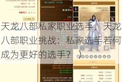 天龙八部私家职业选手，天龙八部职业挑战：私家选手若何成为更好的选手？ ）